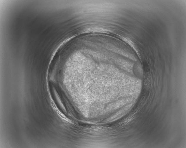 X0000067850987200605041711