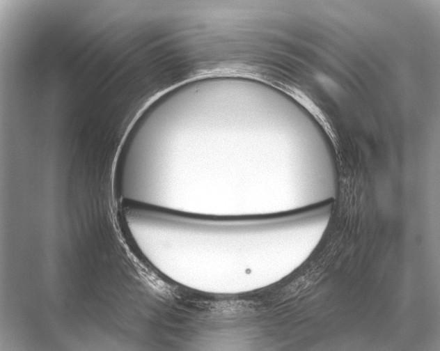 X0000067850988200605041711