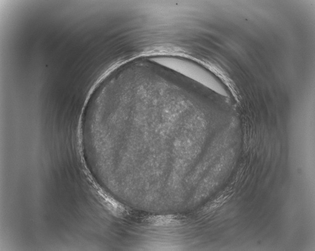 X0000067850990200605041711