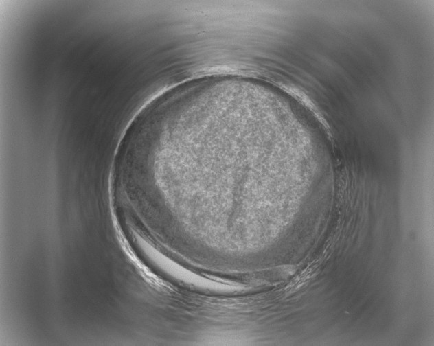 X0000067850991200605041711