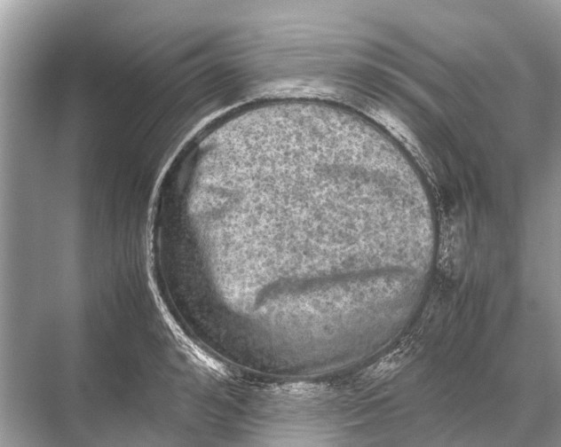 X0000067850992200605041711