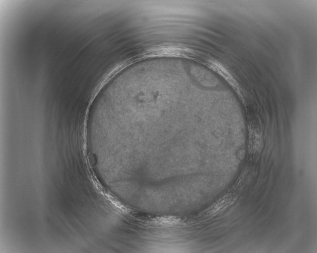 X0000067850994200605041710