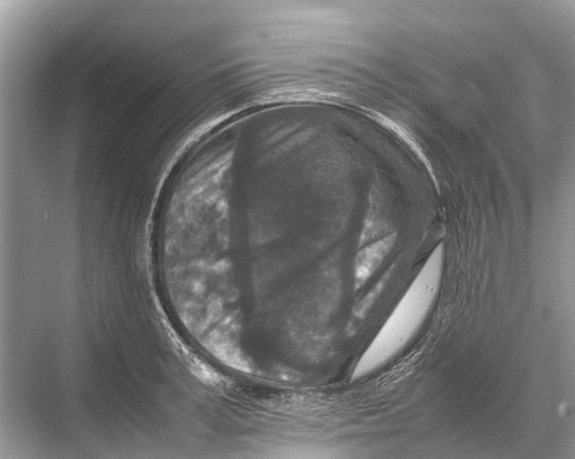 X0000067850995200605041710