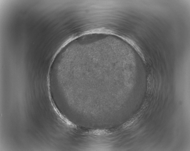 X0000067850998200605041710