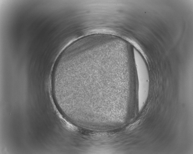 X0000067850999200605041710