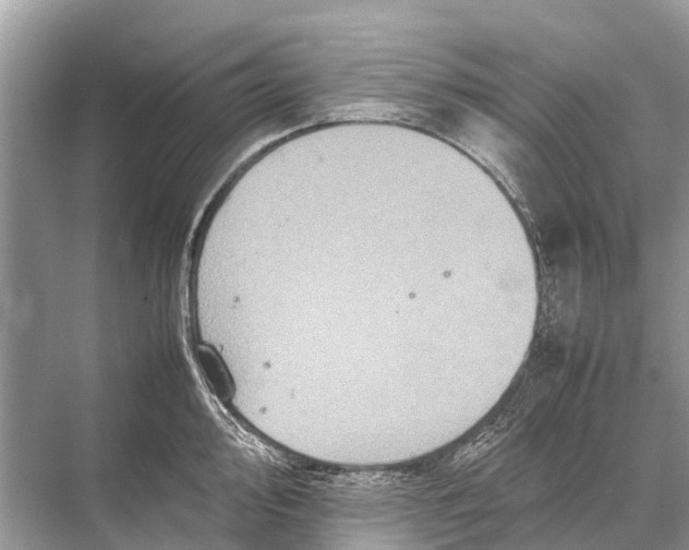 X0000067851000200605041710