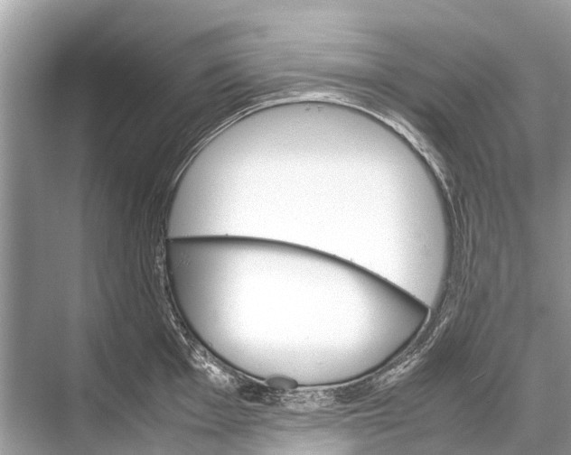 X0000067851001200605041710