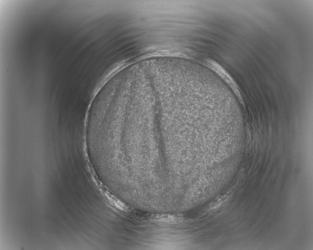 X0000067851002200605041710