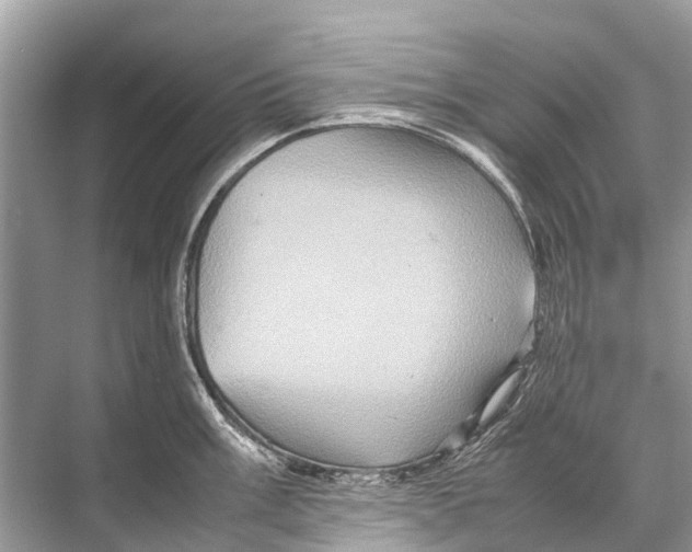 X0000067851003200605041710