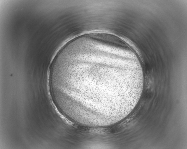 X0000067851006200605041710