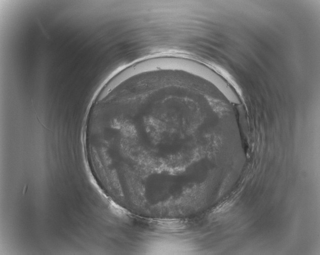 X0000067851007200605041710