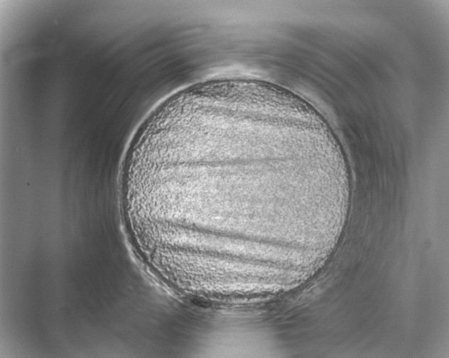 X0000067851008200605041710