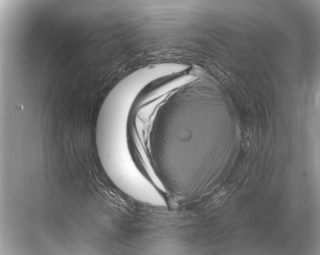 X0000067851010200605041709