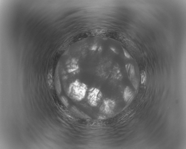 X0000067851011200605041709