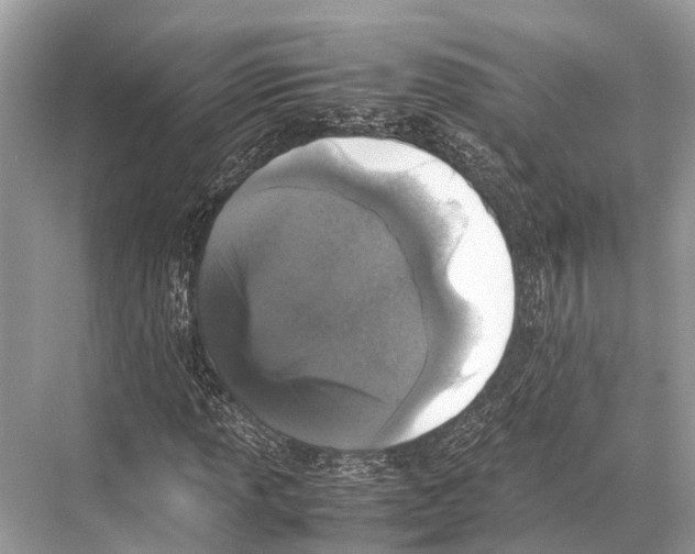 X0000067851013200605041709