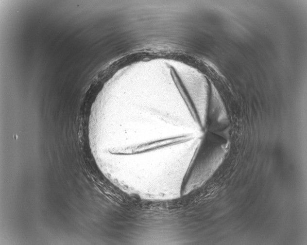 X0000067851016200605041710