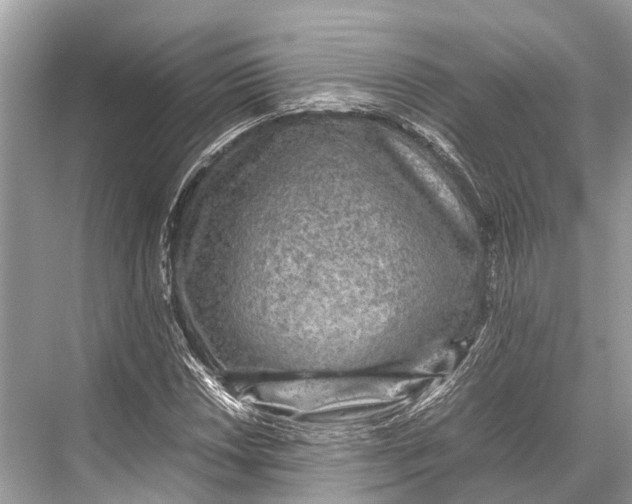 X0000067851018200605041710