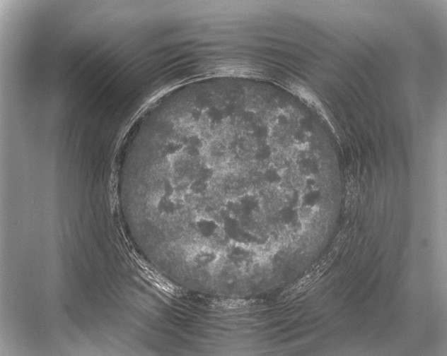 X0000067851019200605041710