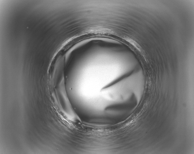 X0000067851022200605041710