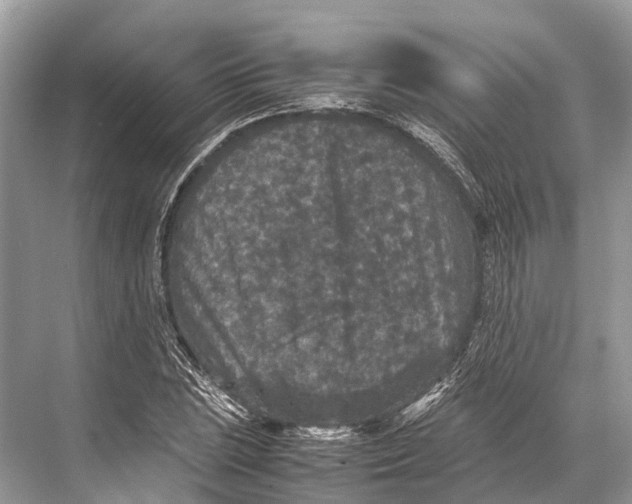 X0000067851023200605041710