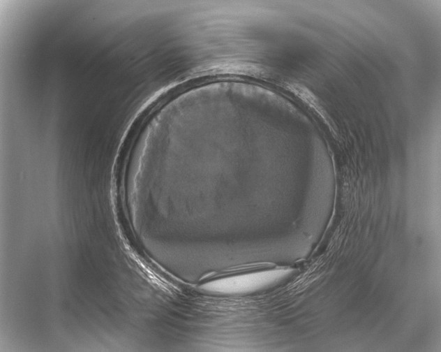 X0000067851024200605041710