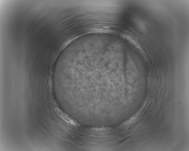 X0000067851025200605041710