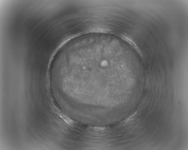 X0000067851027200605041710