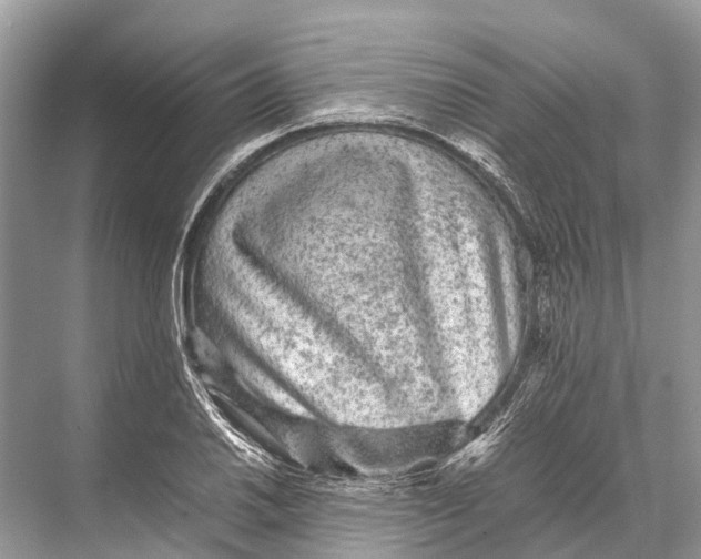 X0000067851030200605041710