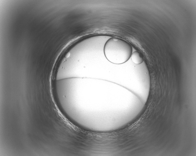 X0000067851032200605041710