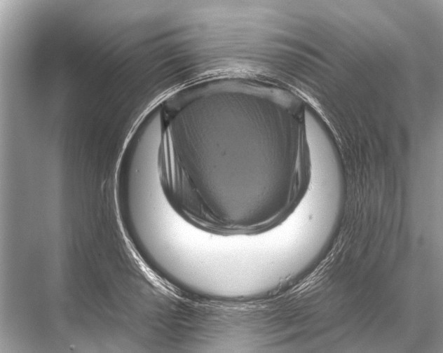 X0000067851034200605041710