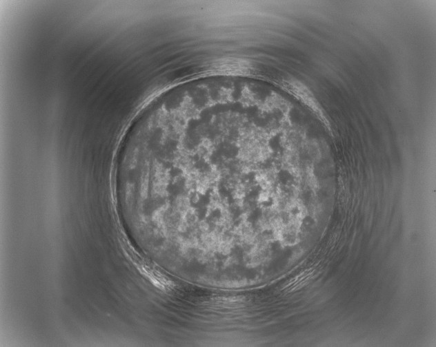 X0000067851035200605041710