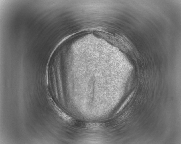 X0000067851036200605041710