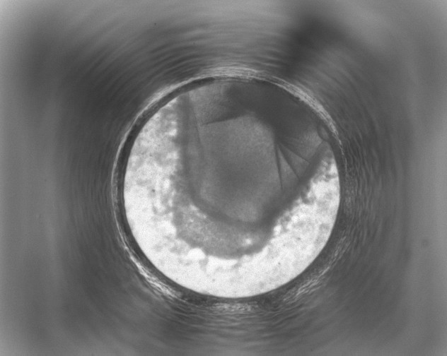 X0000067851037200605041710