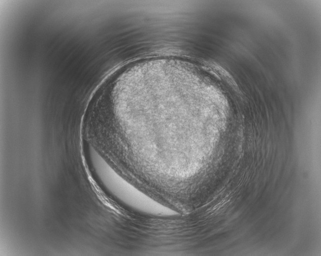 X0000067851039200605041710