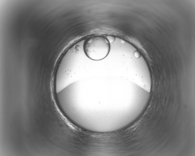 X0000067851040200605041710