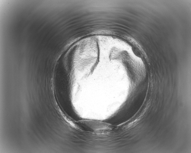 X0000067851041200605041710