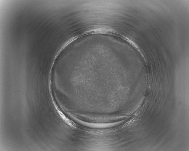 X0000067851042200605041710