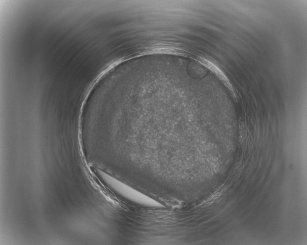 X0000067851043200605041710