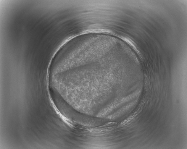 X0000067851046200605041710