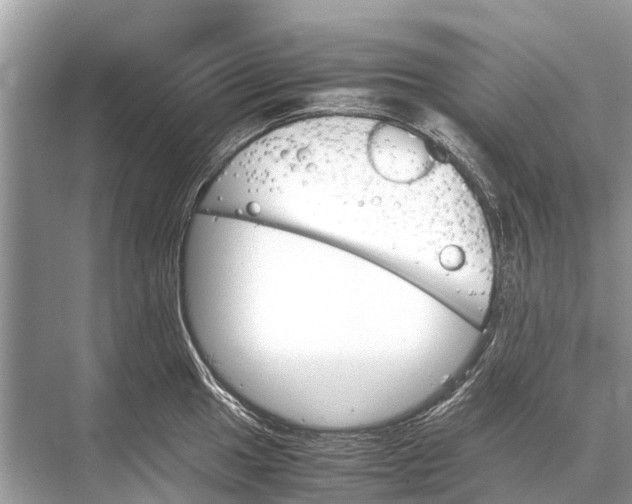 X0000067851049200605041710