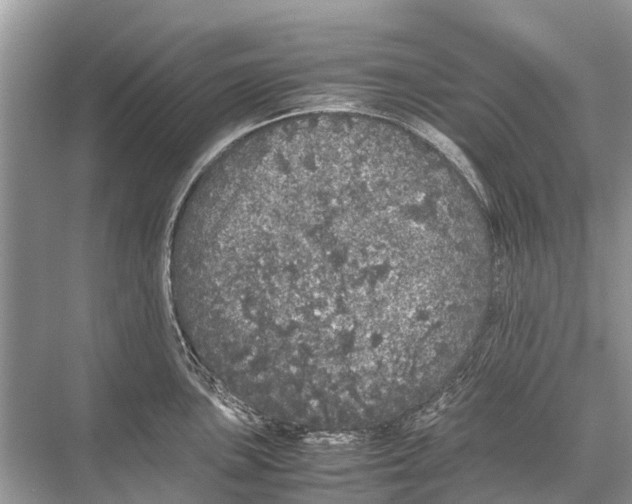 X0000067851051200605041710