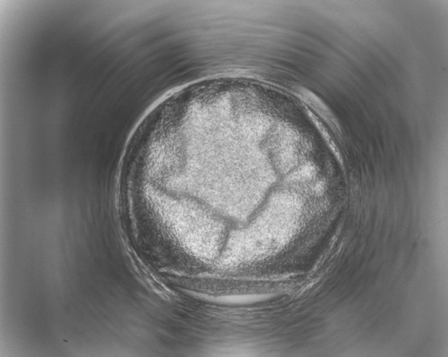 X0000067851052200605041710