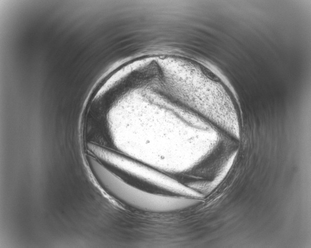 X0000067851053200605041710