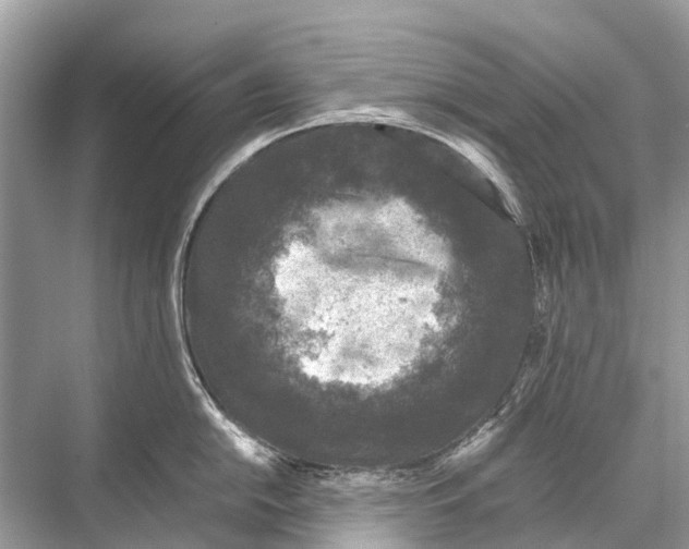 X0000067851054200605041710