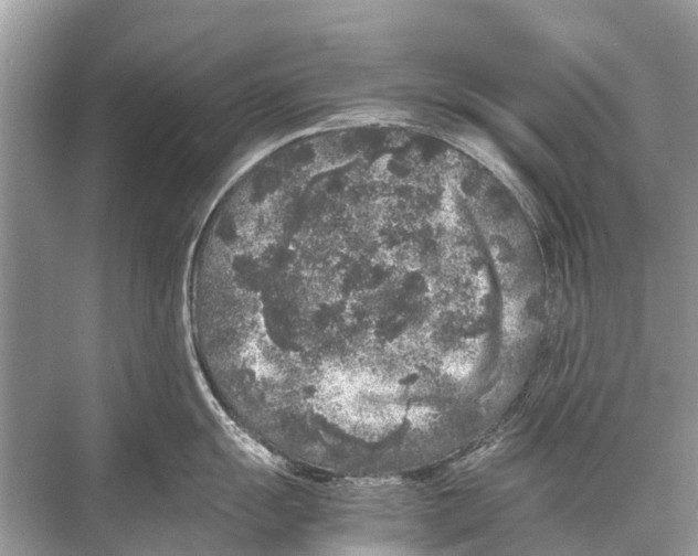 X0000067851055200605041710