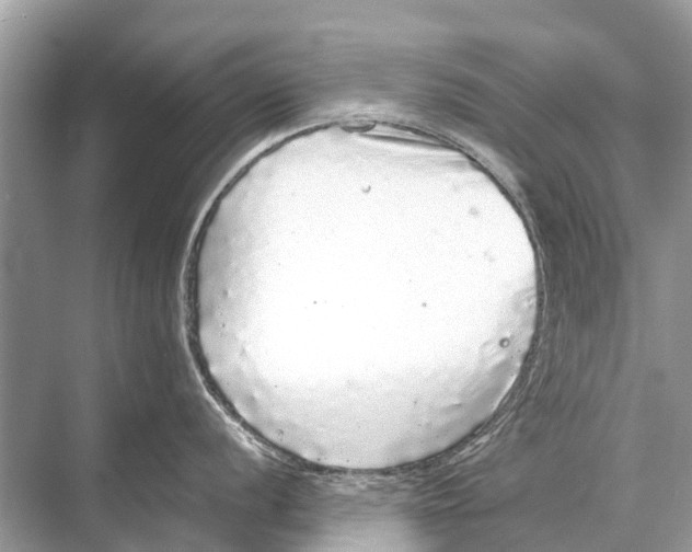 X0000067851056200605041710