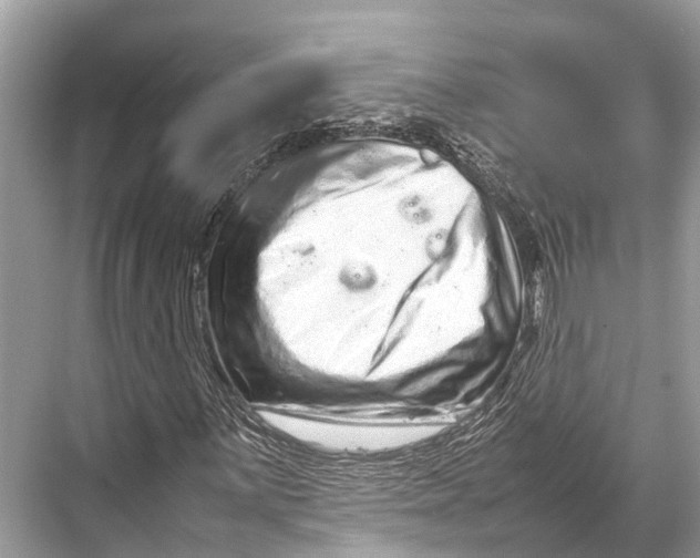 X0000067851059200605041709