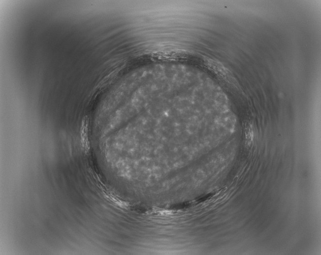 X0000067851060200605041709