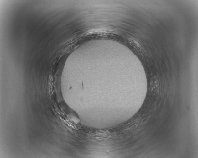 X0000067851062200605041709