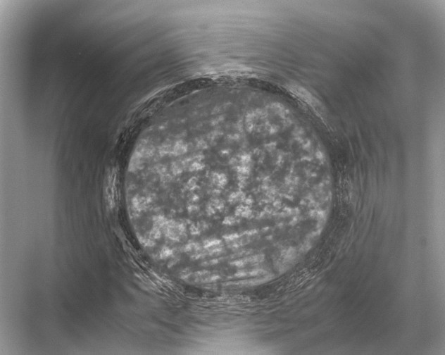 X0000067851063200605041709